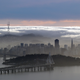 A blanket of fog covers the San Francisco skyline in a view from the Berkeley Hills.